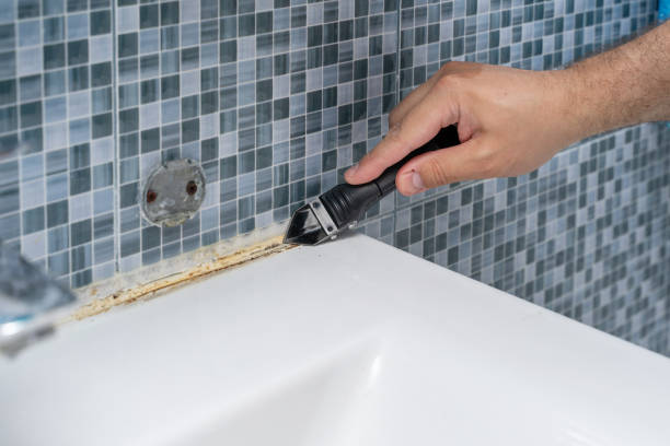 Best White Mold Remediation in Champlin, MN